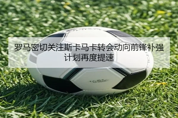img_1781106161522_236_1_950.jpg
